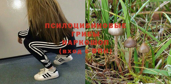 ешки Арсеньев